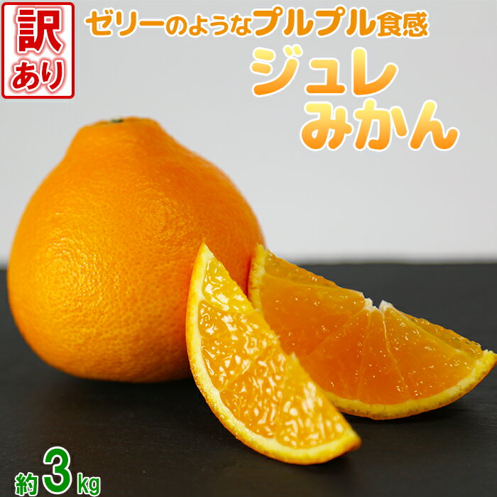【ふるさと納税】【訳あり品】岩尾農園のジュレみかん 約3kg 先行予約 果物 フルーツ 傷 規格外 不揃い＜066-008＞