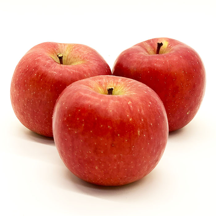 【定期便4回】やまがた 郷土フルーツ定期便 佐藤錦・やわ