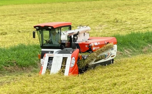 【令和7年度産】【定期便6ヵ月】衣川の男米コシヒカリ 玄米 5kg FCDB041-teiki6