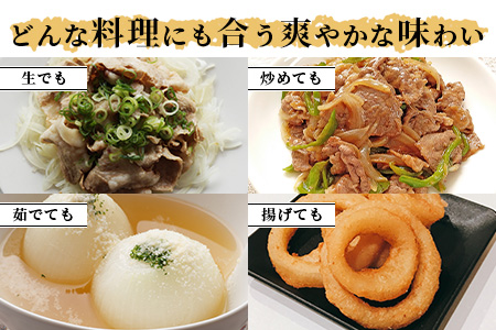 【先行予約】熊本県産 玉ねぎ 5kg (16玉前後) ≪2026年4月下旬から順次発送≫ 玉葱 野菜 数量限定 JAS たまねぎ オニオン 甘い ハンバーグ 肉じゃが 065-0636
