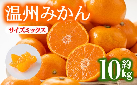 ＜先行予約！2026年12月上旬以降順次発送予定＞香川県産 温州みかん(約10kg/サイズミックス) 【man119-B】【Aglio nero】