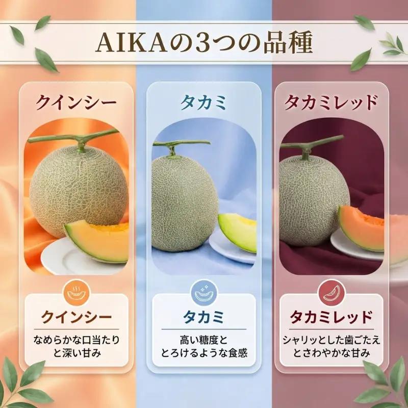 タカミ 3～4玉(合計約5kg) | 完熟 果物 メロン