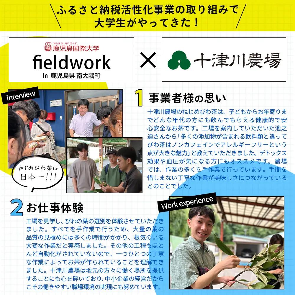 【定期便 全3回】≪3ヶ月連続で毎月お届け≫ 鹿児島県産 ねじめびわ茶 ティーバック ≪1回あたり(24包入×1袋) ≫ ノンカフェイン TO-1-NP| 国産 お茶 健康茶 びわ茶 ポリフェノール 