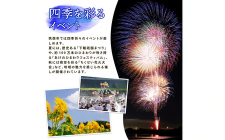 【 定期便 3ヶ月 】 JA北つくば ローズポーク ロース切身 600g ( 100g × 6枚入り )