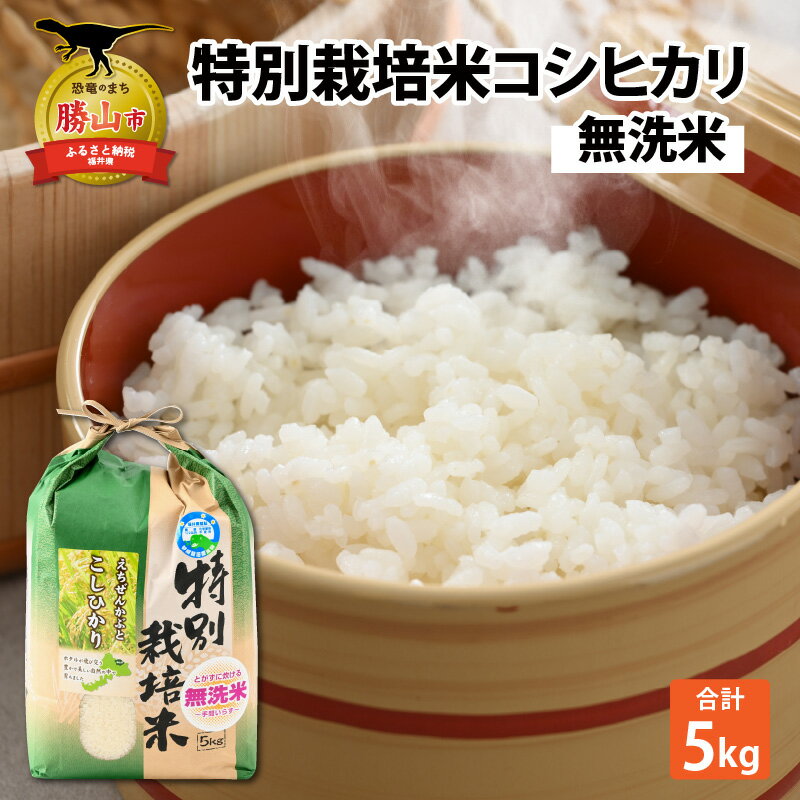 【ふるさと納税】【先行予約】令和7年産 新米 特別栽培米コシヒカリ 5kg×1袋（無洗米）【2025年9月20日より順次発送】 | 新米 米 特別栽培米 コシヒカリ 無洗米 5kg 1袋 送料無料
