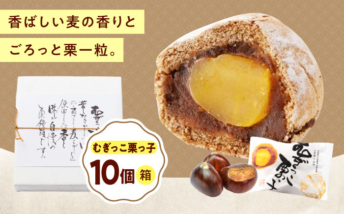 お菓子 むぎっこ栗っ子（10入箱） おやつ 菓子 お茶 スイーツ 広島県福山市/有限会社勉強堂 [BAFL032]