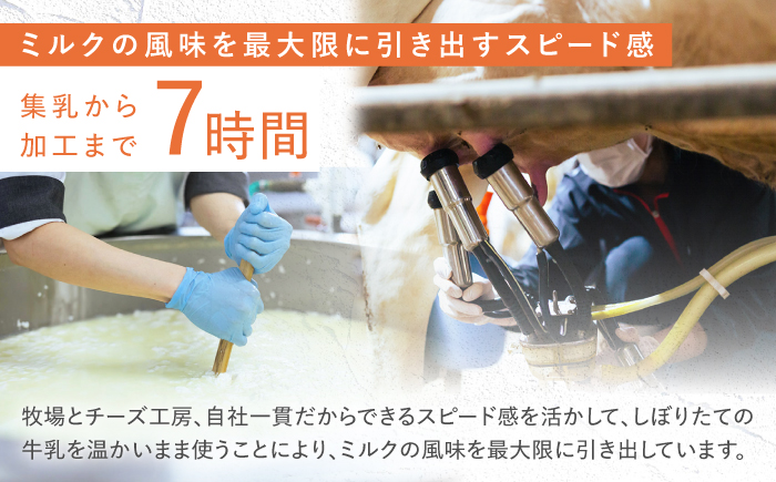 【12回定期便】 ナカシマファームのおすすめ チーズ 6種セット [NAJ007]ナカシマファーム チーズ チーズセット 酪農家 手づくり チーズ チーズ 食べ比べ モッツァレラチーズ さけるチーズ 
