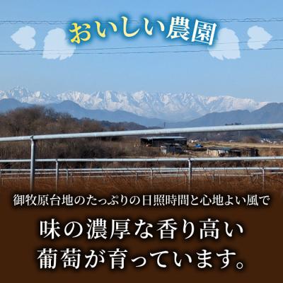 ふるさと納税 東御市 【御牧原(みまきはら)おいしい農園】御牧原セットA(シャインマスカット1kgとメルローワイン1本) |  | 03