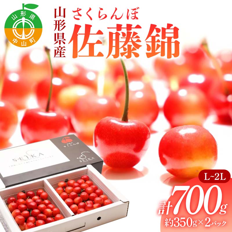 《2026年先行予約》 山形県産 さくらんぼ 佐藤錦 約350g×2パック（L～2Lサイズ） 特秀 果物 フルーツ 山形県 中山町 F4A-0415
