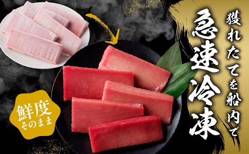 【数量限定】天然キハダマグロ 合計 1kg 柵 5-7本【冷凍まぐろ 訳あり サイズ不揃い海鮮丼 人気 オススメ 小分け 冷凍】 015B291_イメージ3