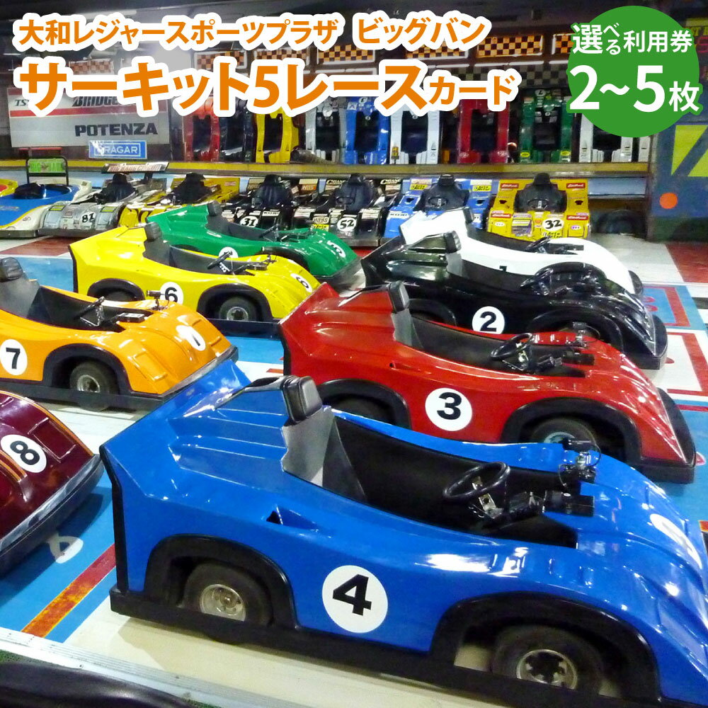 【ふるさと納税】サーキット 5レースカード 大和レジャー スポーツプラザ ビッグバン 〈選べる枚数〉 2枚 ／ 3枚 ／ 4枚 ／ 5枚 スリックカート ドリフト走行 室内サーキット チケット 利用券 室内 スポーツ アミューズメント 神奈川県 大和市 送料無料