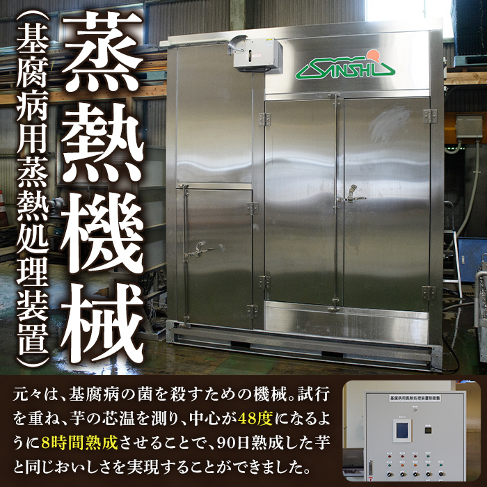 ＜先行予約受付中！2024年8月下旬以降順次発送予定＞訳あり！鹿児島県産さつまいも｢紅はるか｣(計10kg) 大容量 国産 熟成 詰め合わせ 野菜 さつま芋 焼芋 鹿児島産 大小混合 期間限定 常温保