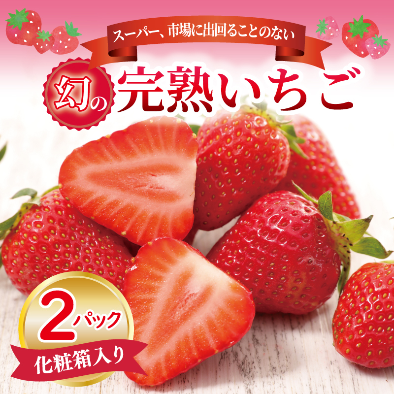 【先行予約】朝摘み 完熟いちご 2パック【化粧箱入り 苺 無添加 自然素材 フルーツ イチゴ 高評価 数量限定】 099H1970