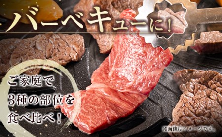 宮崎牛　焼肉セット450g　4等級以上　国産牛肉＜1.5-205＞