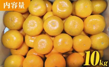 みかん 約10kg【かきやま果実】[ZCJ005]