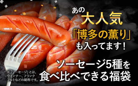 ソーセージ福袋 あらびき ウィンナー ソーセージ 5種セット 合計4.02kg 大容量 ウインナーソーセージ ウインナー ソーセージ おかず 惣菜 粗挽き お弁当 ソーセージ 冷凍 送料無料 日本食品