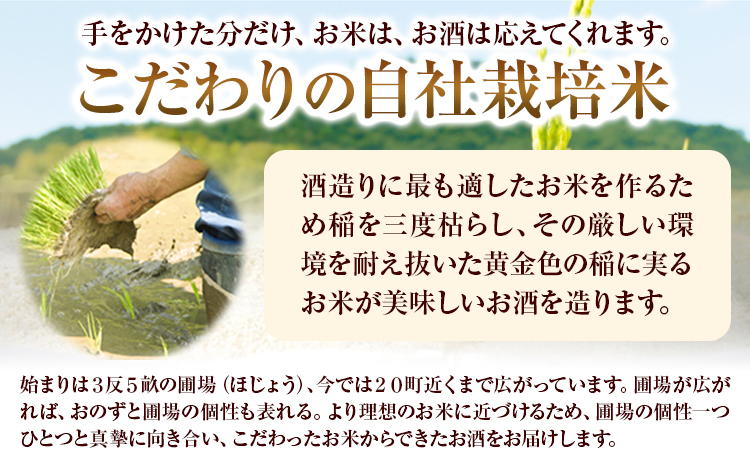 甘酒 詰め合わせ 300ml 6本 発酵生活研究所 丸本酒造株式会社 《30日以内に出荷予定(土日祝除く)》岡山県 浅口市 セット ノンアルコール 白麹 送料無料