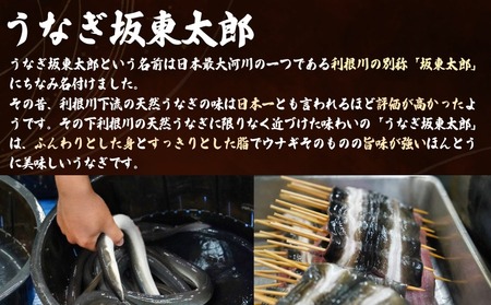 坂東太郎鰻の鰻蒲焼 大3枚