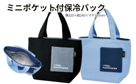 ミニポケット付保冷バック 【シースルーブルー】 ＜ skater＞ ランチバッグ 保冷 ポケット付き ファスナー付き マチ付き 内側アルミ蒸着 ランチ バッグ 小物入れ 弁当袋 サブバッグ かわいい  奈良県 奈良市 なら 5-135