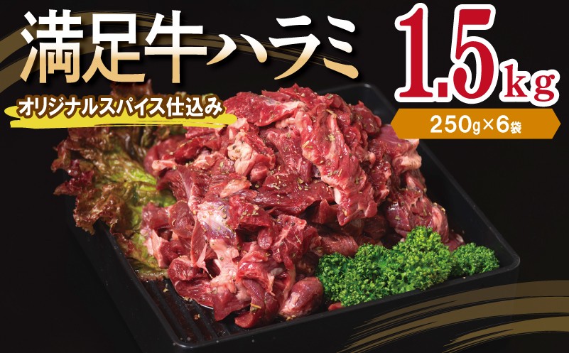 
            【満足牛ハラミ】オリジナルスパイス仕込み 合計1.5kg 【味付け ハラミ 小分け 焼くだけ 簡単調理 BBQ 牛肉 250g×6P】
          