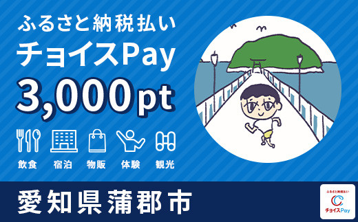 
蒲郡市チョイスPay 3,000pt（1pt＝1円）【会員限定のお礼の品】
