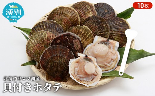 
                  先行予約 北海道 サロマ湖産 貝付き ホタテ 10枚 帆立 ほたて 刺身 海鮮 魚介 国産 殻付き 冷蔵 オホーツク 魚貝類 貝付きホタテ 魚介類
                