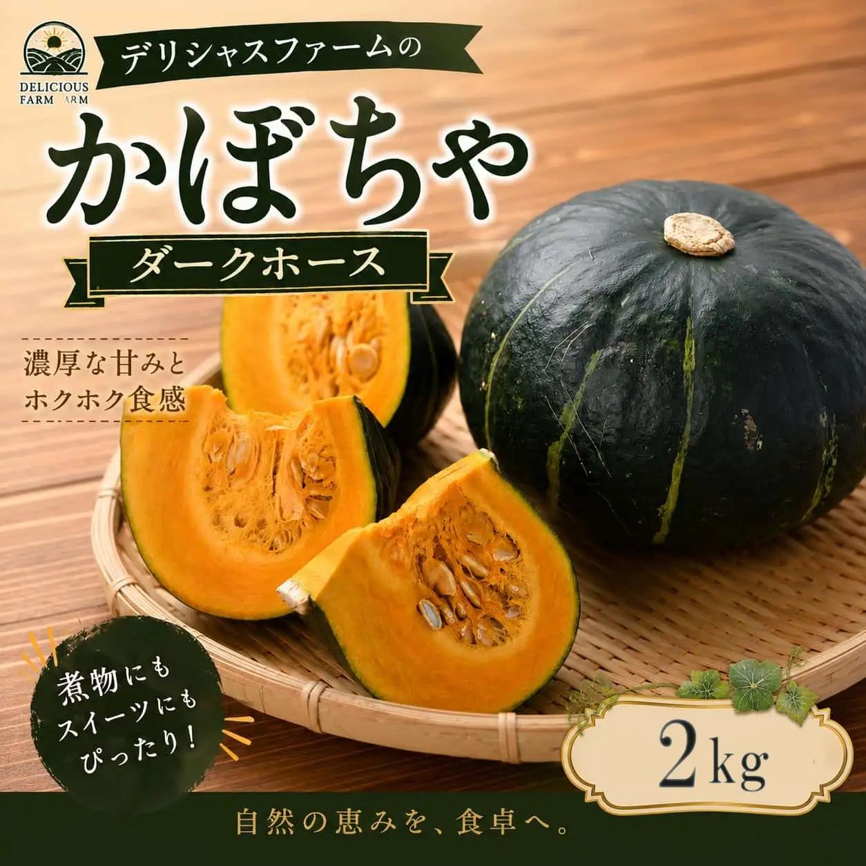 かぼちゃ 【デリシャスファームのかぼちゃ】ダークホース2キロ ※6月頃より順次発送予定 / 産地直送 カボチャ 南瓜 【delf034】