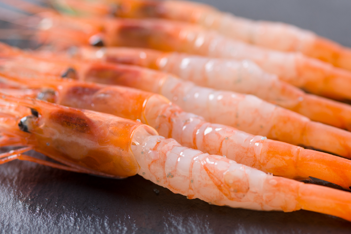 【漁師採りたて　留萌産】ナンバンエビ（甘エビ）　400ｇ×2　あまえび 甘海老 海老 エビ 南蛮エビ つまみ おつまみ ご飯のお供 おかず 海鮮 海産物 海の幸 魚介 魚介類 刺身 お刺身 刺し身 さ