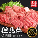 【ふるさと納税】但馬牛 焼肉用 肩・モモセット 合計約500g （2〜3人前）/ 焼肉セット 黒毛和牛 いちかわ精肉店 経産牛 牛肉 国産 bbq バーベキュー 焼き肉セット アウトドア キャンプ 冷凍 焼き肉用 010AA05N.