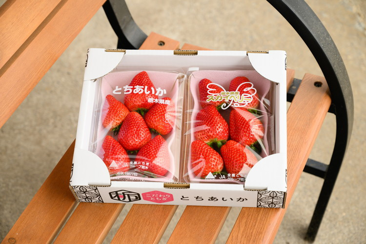 
            【先行予約】いちご とちあいか・スカイベリーセット 270g×4パック（1.08kg以上）｜いちご イチゴ 苺 先行予約 栃木県 果物 くだもの フルーツ とちあいか スカイベリー 新鮮 贈答 ギフト 高級 食べ比べ ※2026年1月上旬～4月中旬頃に順次発送予定
          