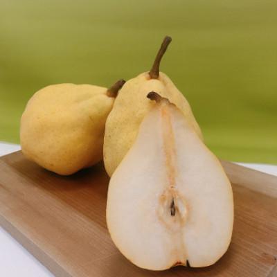 ふるさと納税 豊丘村 【数量・期間限定】南信州産 ルレクチェ (約5kg)