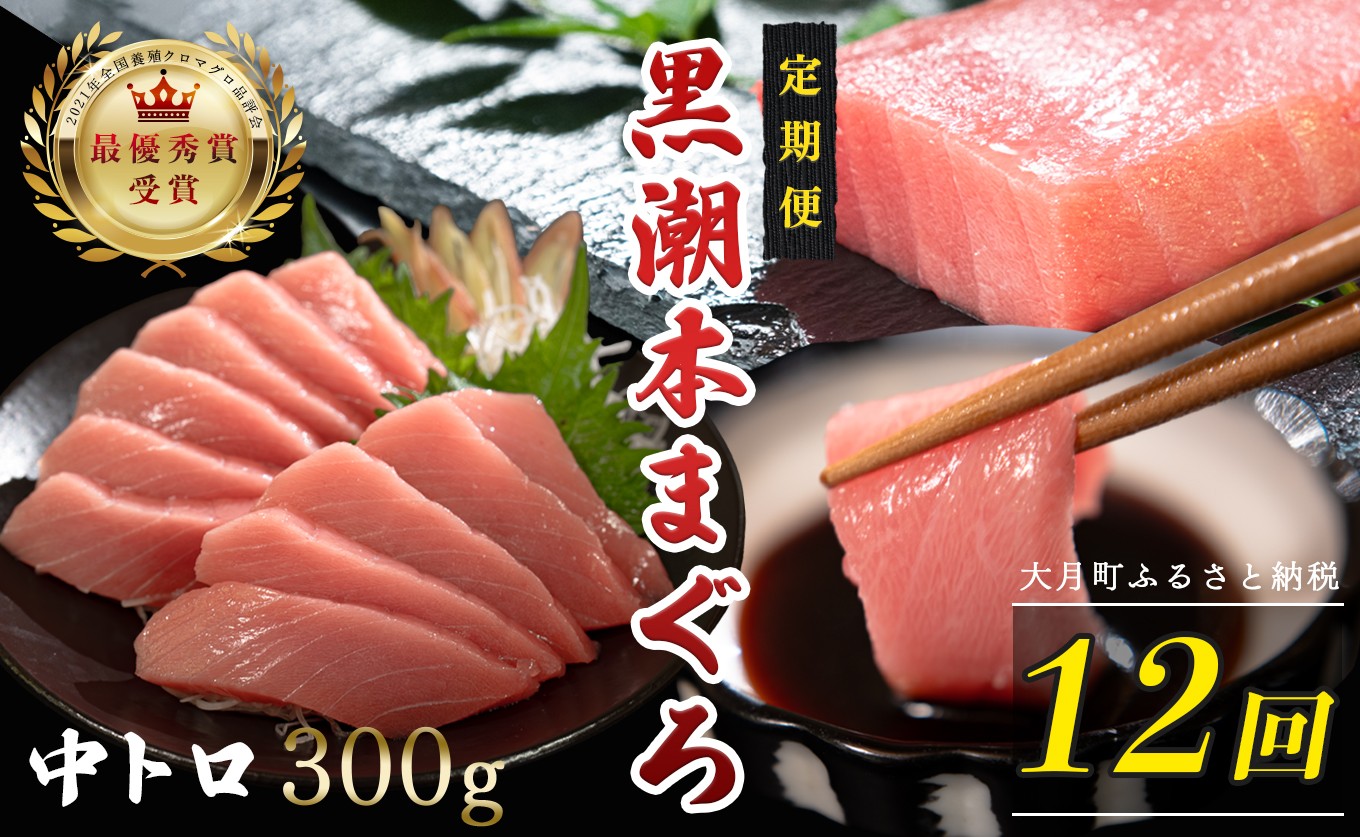 
                  訳あり 不定貫 定期便 12回 国産 養殖本マグロ 中トロ 毎回300g×12回 黒潮本まぐろ 全国養殖クロマグロ品評会 最優秀賞受賞 12ヶ月 12か月 一年 柵 刺身用 本マグロ クロマグロ 本鮪 まぐろ 鮪 お刺身 さしみ トロ 海鮮丼 漬け丼 手巻き寿司 鉄火丼 まぐろ丼 小分け 個包装 真空パック 冷凍 不揃い 家庭用 海鮮 年末年始 高知県 大月町 17万円
                