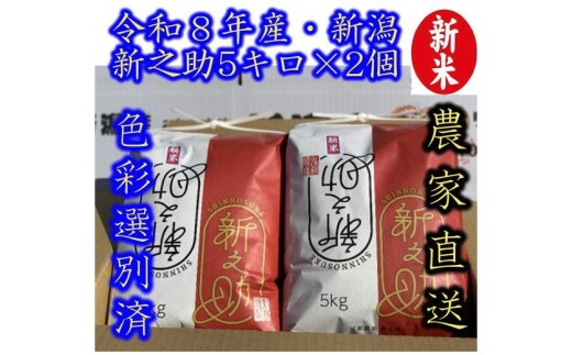 【令和8年産新米】 新潟県産「新之助」 白米 10kg（5kg×2袋） 阿賀野市産 中島農場 精米 新潟県 米 こめ コメ お米 ごはん ご飯 農家直送 色彩選別済 新米 新米予約 令和8年産 9月下旬より順次発送  3R09033