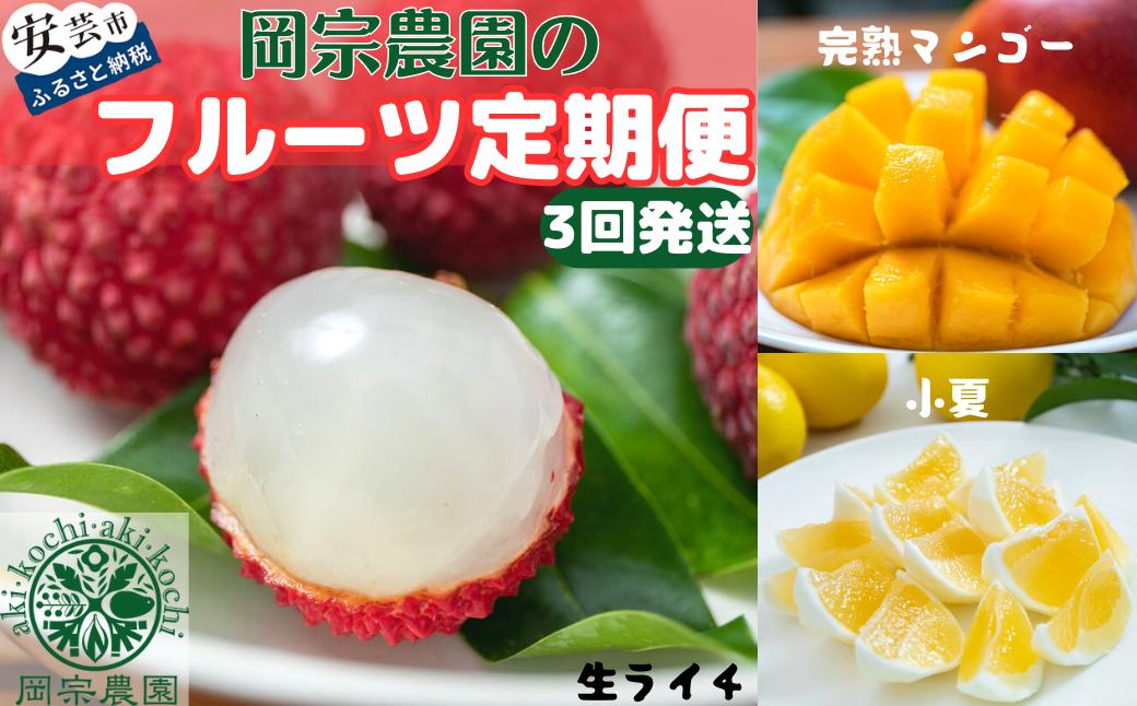 
            【 年3回発送 岡宗農園のフルーツ定期便 】小夏 マンゴー ライチ 旬 果物 定期便 国産 生ライチ 完熟マンゴー 小夏 旬 直送 甘酸っぱい 爽やか 南国 フルーツギフト 春 初夏 糖度14度以上 希少 人気 おすすめ 果物定期便 数量限定 期間限定 果物 セット 安芸市 高知県
          