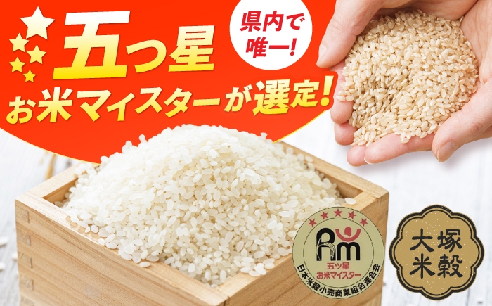 さがびより ご飯 ごはん 米 お米 おこめ 弁当 お弁当 銘柄米 お米 白米
