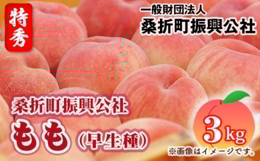 No.231 もも（早生種）特秀品3kg（10～12玉）桑折町振興公社 ／ 桃 モモ 果物 フルーツ 福島県 特産品