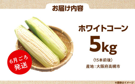 【6月頃発送】ホワイトコーン 5kg/15本前後 高槻あぐり[AOCS029] とうもろこし とうもろこし とうもろこし とうもろこし とうもろこし
