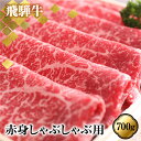 【ふるさと納税】あっさり派の方へ 赤身 飛騨牛しゃぶしゃぶ用もも肉 700g 牛肉 肉 和牛 国産［Q1782］50000円 5万円