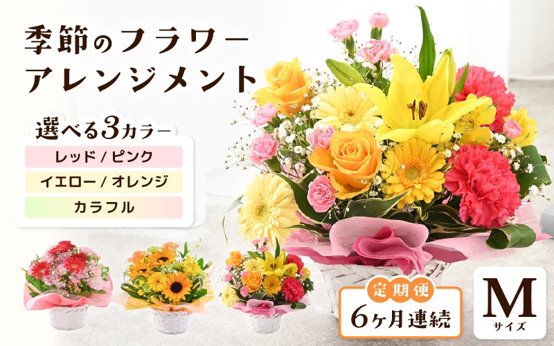 
            定期便 ≪6ヶ月連続お届け≫ 選べるカラー 季節のフラワーアレンジメント M 【カラー：レッド・ピンク / イエロー・オレンジ / カラフル】 【お花 フラワー アレジメント 花束 ギフト 生花 プレゼント 花束 花 記念日 敬老の日 お祝い】 [G-20701] 
          