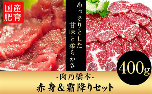 馬刺・赤身&霜降りセット 計400g 赤身馬刺し 霜降り馬刺し 肉乃橋本  ブロック《60日以内に出荷予定(土日祝除く)》---so_fhasiasi_60d_23_29500_400g---