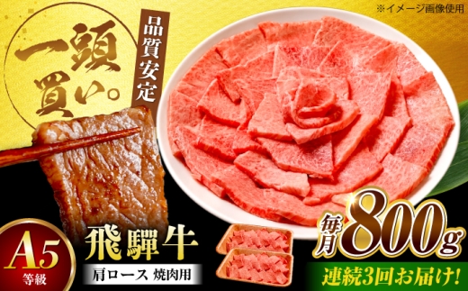 【3回定期便】飛騨牛 肩ロース（焼肉用）800g / 飛騨牛 国産 肩ロース ロース 焼肉 焼き肉 黒毛和牛 和牛 牛肉 BBQ 岐阜県 / 御嵩町 / 馬力家 [AVBO108]