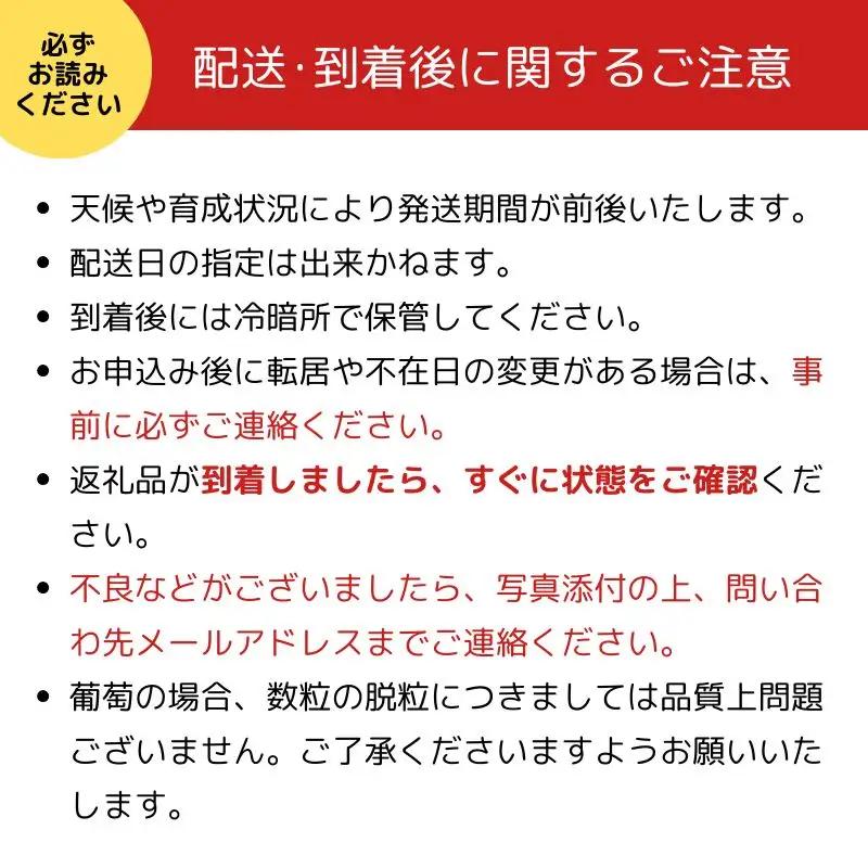 先行予約 シャインマスカット 約1.5kg 2~3房 京都産