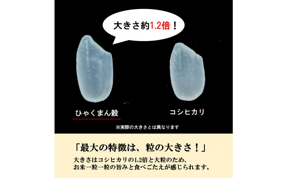 【令和8年産】【日本農業賞大賞】ひゃくまん穀9kg(4.5kg×2袋)精白米 能美市 お米 精米銘柄米 精米したて 一等米