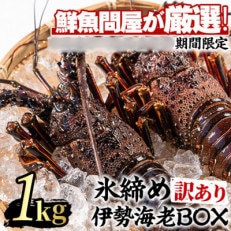 『訳あり』朝獲れ発送!厳選した氷締め伊勢海老(2尾・総量約1kg以上) 【0303202a】