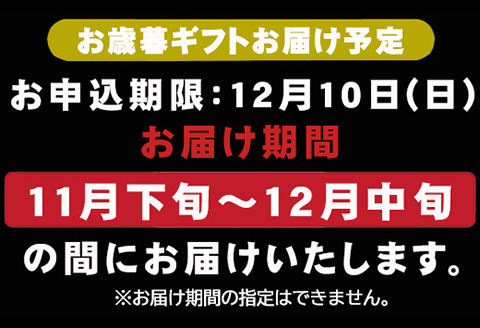 「お歳暮」海から直送！剣先イカ一夜干し いか おつまみ 干物 酒の肴「2023年 令和5年」