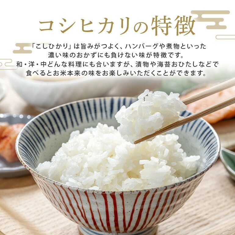 ＜2026年10月発送＞常陸大宮産 コシヒカリ 10kg（5kg×2） 米 お米 令和8年産 精米 白米 こめ コメ ご飯 10キロ 茨城県産 【有限会社 宇佐美米店】【ho1751】
