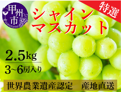 シャインマスカット 2.5kg（3～6房）山梨県甲州市 産地直送【2024年発送】（ORJ）C5-801