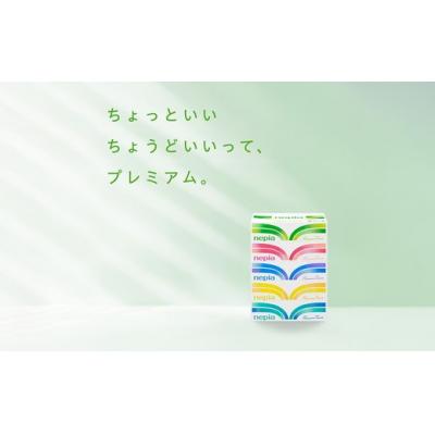 ふるさと納税 春日井市 【定期便】2回発送 (3か月おきに) ネピアティシュ 5箱×12パック |  | 01