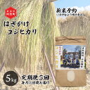 【ふるさと納税】 《先行予約》＜定期便3回＞ 米 5kg 新潟県産 コシヒカリ はざ掛け 天日干し 令和6年産 越後奥阿賀産 | 小会瀬 はざがけ こしひかり 一等米 送料無料 お取り寄せ お米 白米 精米 ※2024年10月中旬頃より順次発送