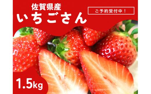 ＜先行予約受付中・令和7年2月以降順次発送＞濃厚苺”いちごさん” 1.5kg（A13720-04）